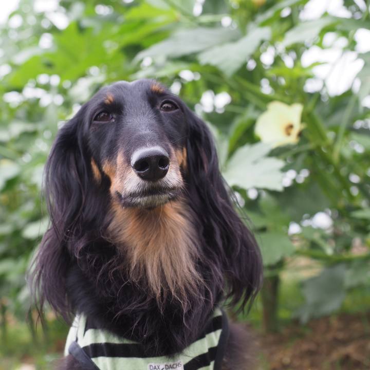 Edac8787 0515 4c05 90c4 b70d220885ae 1631064609118