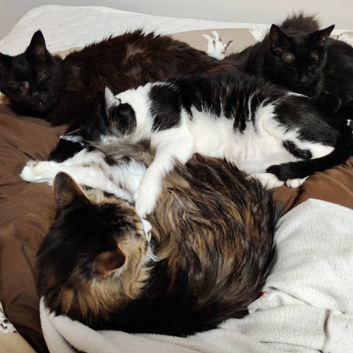 Edaca12c 34fb 4a0e 9f35 6b244ff4e13e 1776914277569