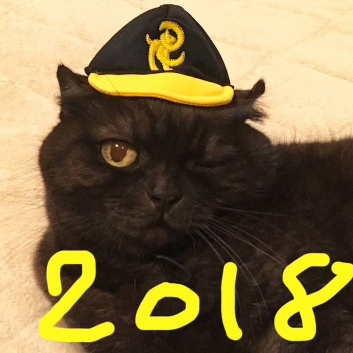 Edacc9b0 ef72 48b4 9863 6c299311ad4f 1514733465920