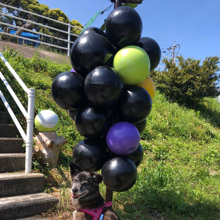 Edaccebf 5eec 4500 a0ce 77d990e5bb7d 1651912488329