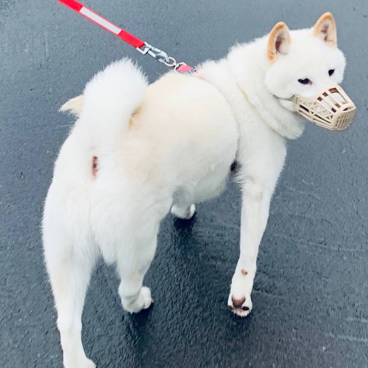 Edacec06 6f95 4983 9695 f408d2bab47e 1593038391628