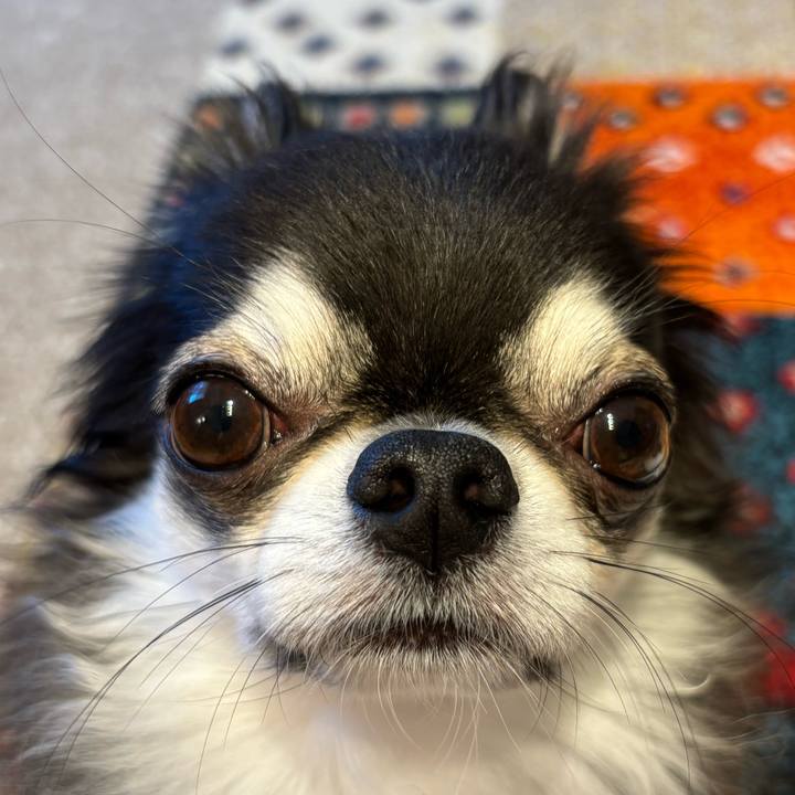 Edad1460 bf1a 4a15 8901 2df84d50887b 1723331218661