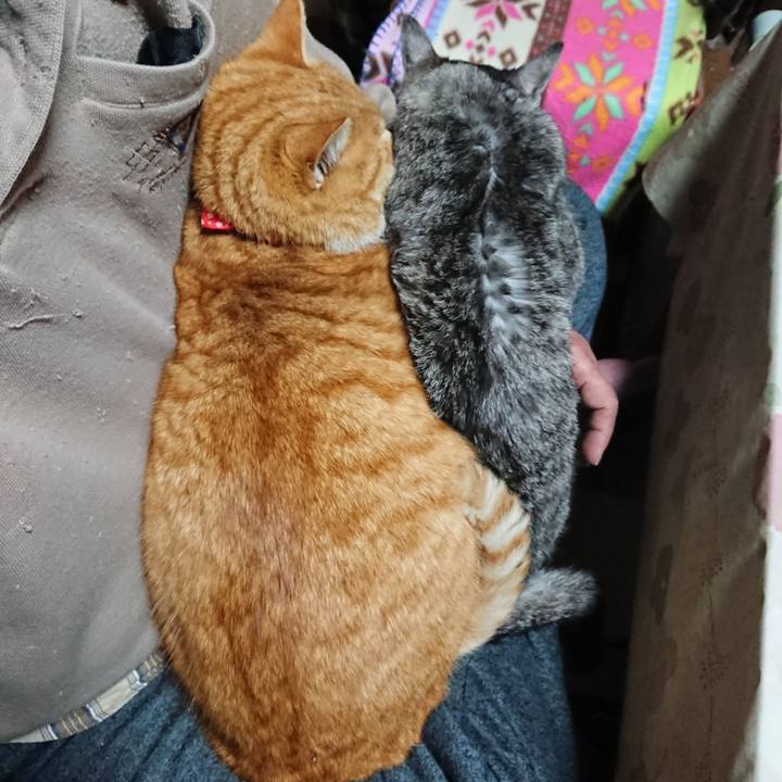 Edad358a f534 415b 8d84 3b8dc495f105 1578602559094