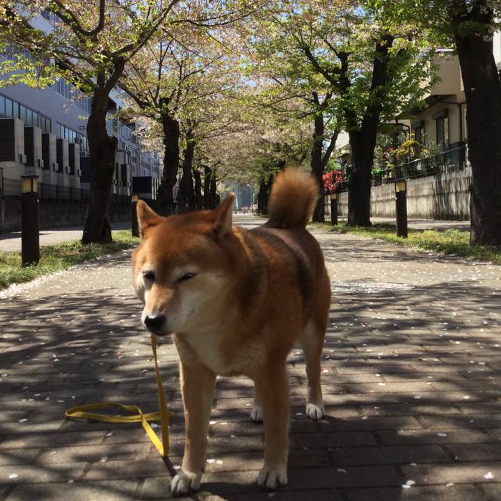 Edadb25a b695 4c9d abe8 d03573a900a2 1555127771459