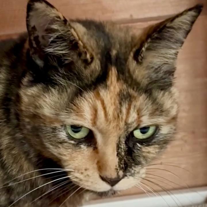 Edae0dfe 6eb9 417e 808e 0e2a52f76a60 1772202516775