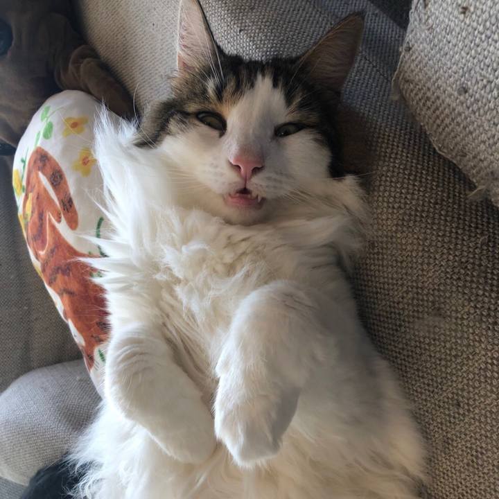 Edae1dac 6511 4239 8178 64ea6dd6ebdb 1664321187842