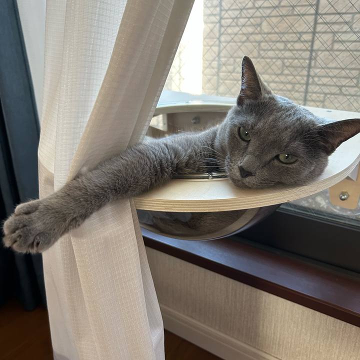 Edae228a 17de 4700 abfd f26ec6f7550f 1694997143244