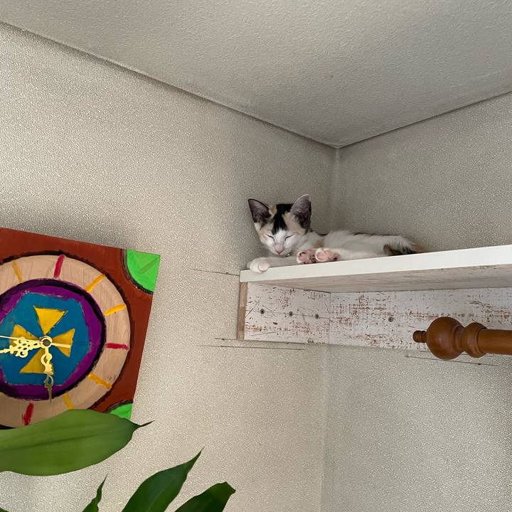 Edae2d62 1240 44d4 b940 1fe55230c3fa 1659317446422