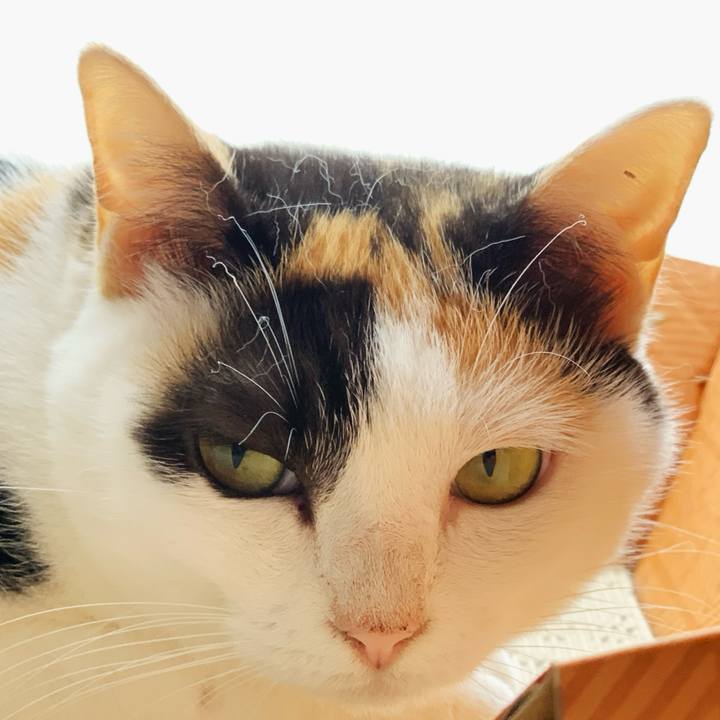 Edae4247 12a4 46fe 9d5b ff711d6ef92a 1598665475624