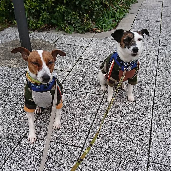 Edae8966 fd60 4043 9717 9dbbeb52ce50 1582933653184