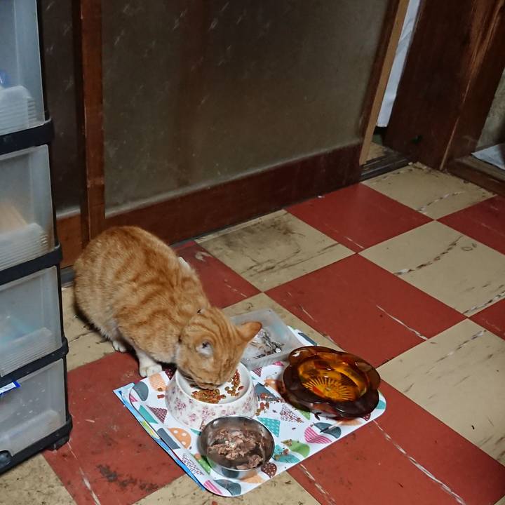 Edaed17f af40 4e17 ae31 9130de0ebfda 1589746634063