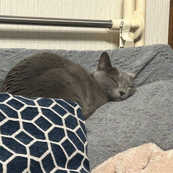 Edaf1dbe 292c 4bf3 9169 c3d9efd445cd 1741507543989