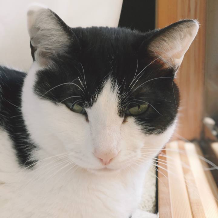 Edaf5068 d811 401c 9c6d 640974ce2312 1556330054320