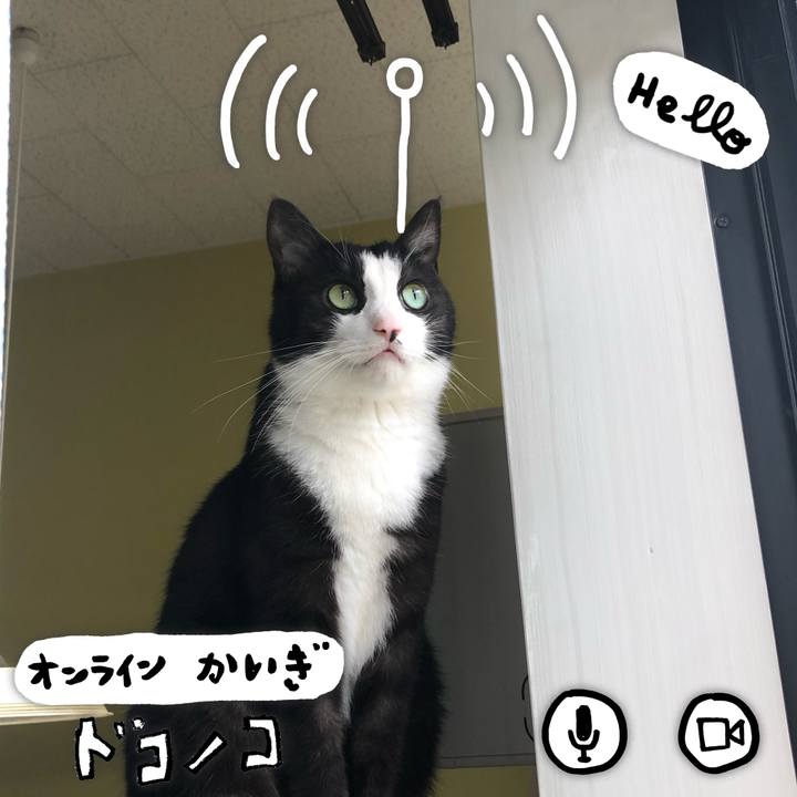 Edaf58aa f264 4798 b717 4b3e948ef5e5 1591330048640