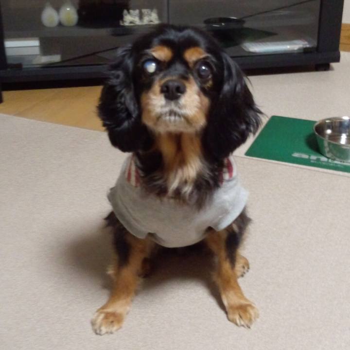 Edaf7880 dc1f 4e6e a8f5 9ef0c8c347d8 1609422707410