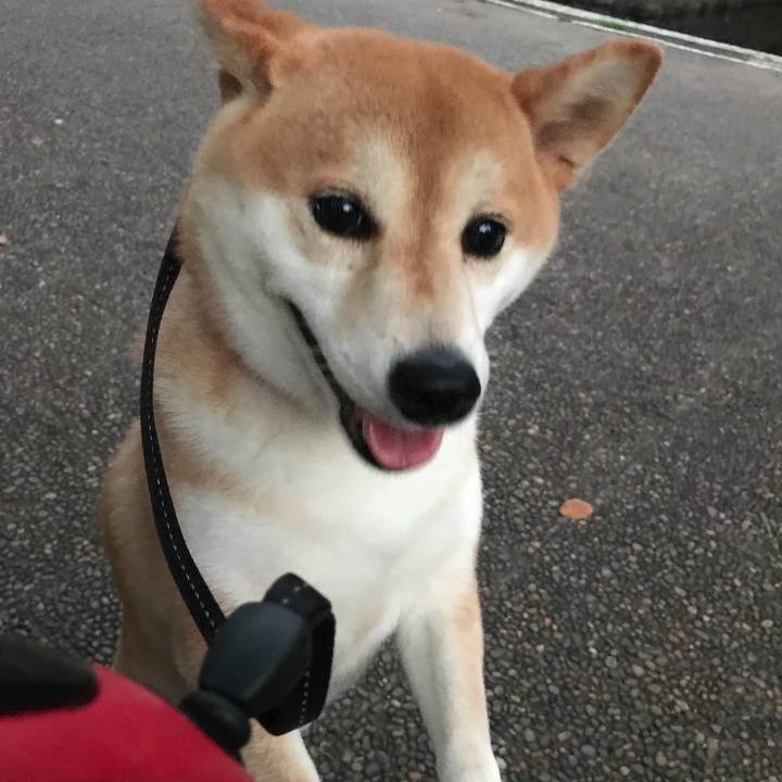 Edaf8ae1 72fa 4951 8051 e3573804cecb 1533385183191