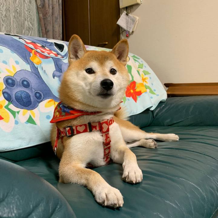 Edaf9391 c63e 45c9 a2b8 ab05a7ed041b 1602064472677