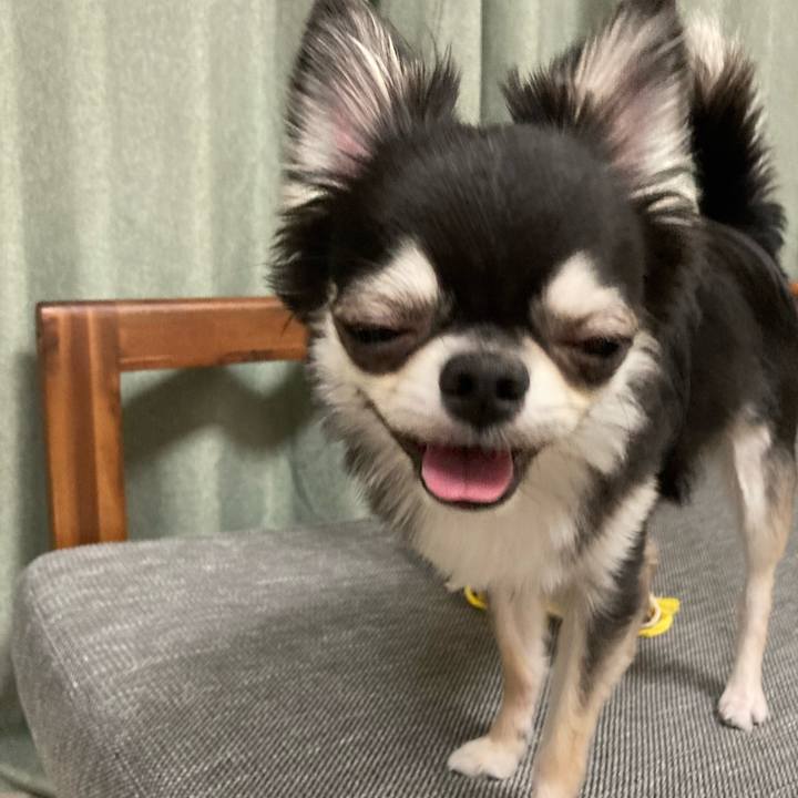 Edb015ac cb3c 4457 a4fc 5dfda2005cd3 1626961719060