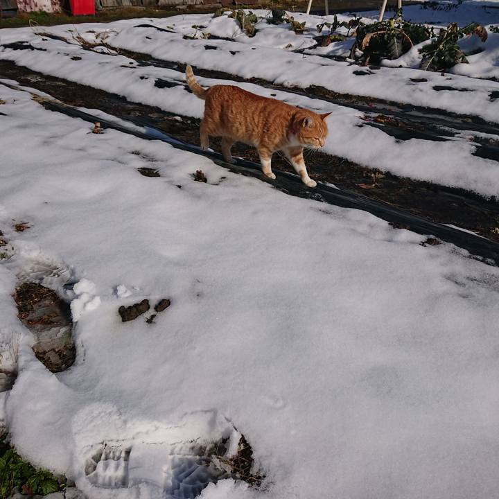 Edb01dcc 53d4 450c aacc f857d1e51c97 1577587993935