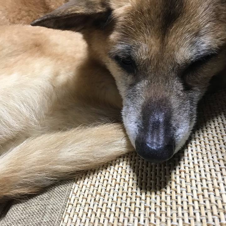 Edb0293a 239b 418b aa87 947bb96aed81 1555595825590