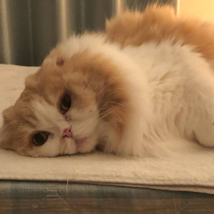 Edb04e48 42fa 4cb4 b17c 04d4a98907b2 1610369251824