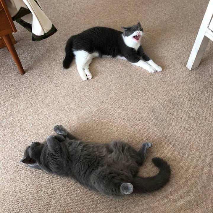 Edb09bea fdd7 4805 87f4 374ec728101f 1531117537143