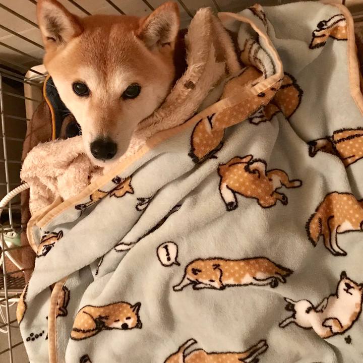 Edb0a0f2 dae2 49fa 9921 69ca5cdbe074 1518350864434