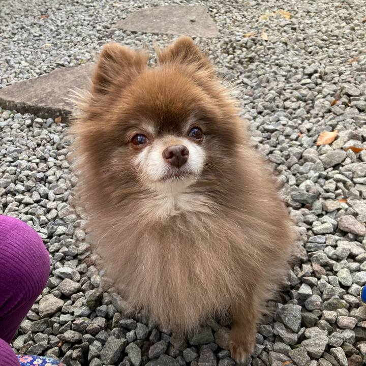 Edb0a5b8 82fa 4993 baa8 c5ba2f685764 1669520146353