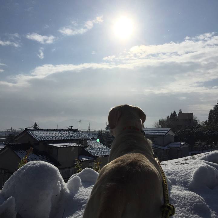 Edb0ee4a 44ba 450a 89b3 8ae75df45195 1581595410973