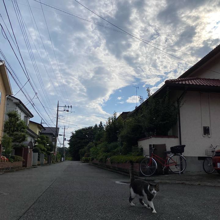 Edb0f786 18a7 49a6 be71 34a8351e8f6e 1594222475556