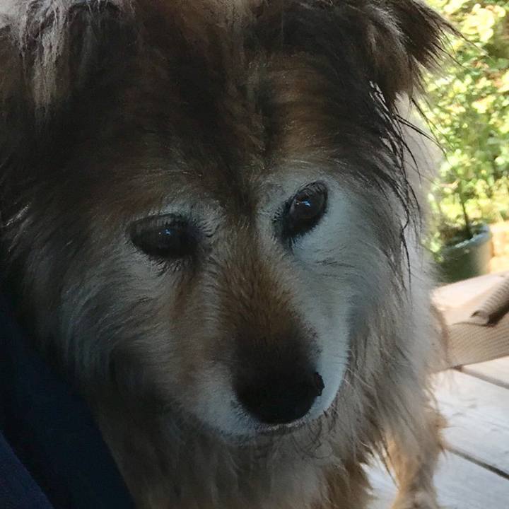 Edb0ff91 833e 4784 950b f43058e379e2 1618378840561