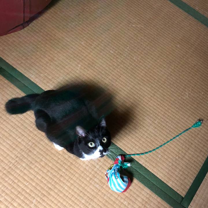 Edb105ef 6f8b 457d 8e46 dac607169af8 1541915042717