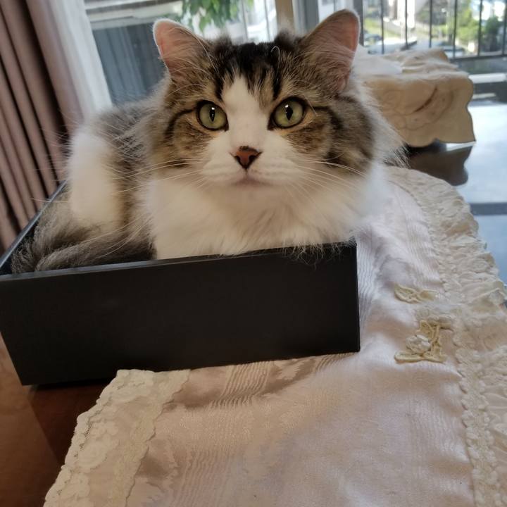 Edb11234 7937 48d4 a39d 5a220a37d46d 1532645106632