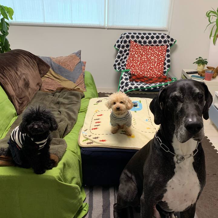 Edb15589 09ae 494e ba04 8760b88351ca 1552258309333