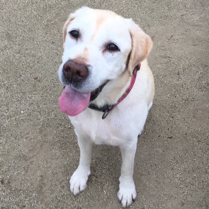 Edb16ec2 2267 47dd a3a2 8453b9d1ca45 1619524505061