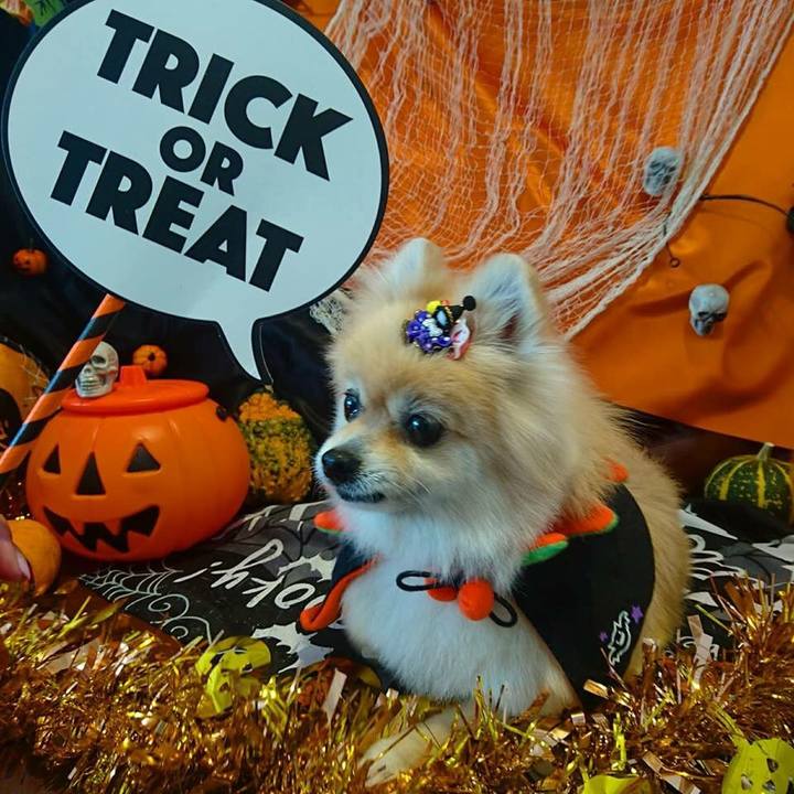 Edb177d7 b0ee 48eb 8172 caa7ea08548f 1539480756559