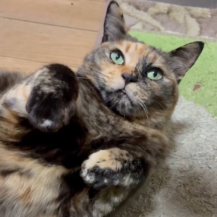 Edb19f06 1c0b 4d39 9682 fdb57bae079c 1773232850527