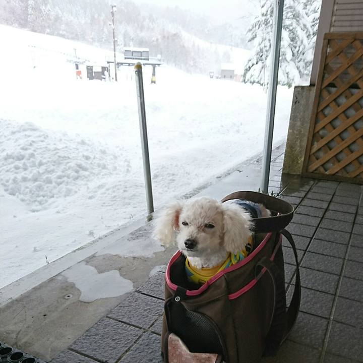 Edb1a26b 424c 4171 bdda 7f5bcc502571 1511503015723