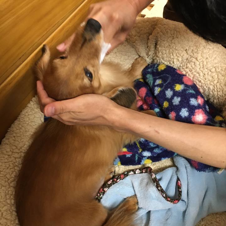 Edb1de32 8890 4d00 8fd8 f5c36ff0b6b1 1584104791311