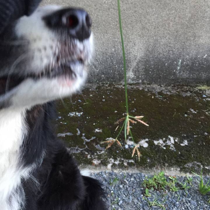 Edb1de63 9640 45c1 aa31 3eda8b7493f3 1564054737136