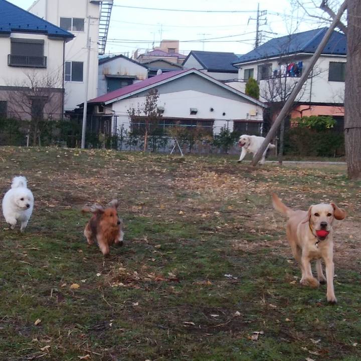 Edb1f6fd bfd2 4f50 b324 5207cd885968 1512694143167