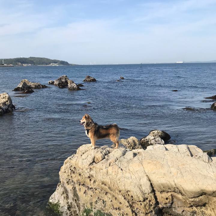 Edb20c21 e563 4062 8d31 7644adb839f6 1589443792278