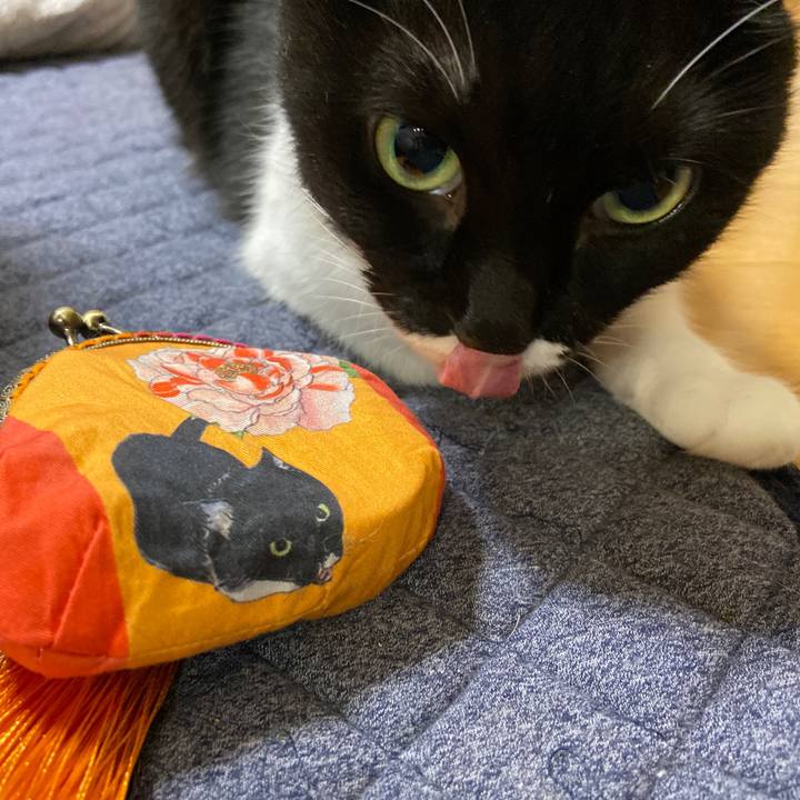 Edb239fb 1fdd 49f4 a759 3e9effacdbed 1627387244781