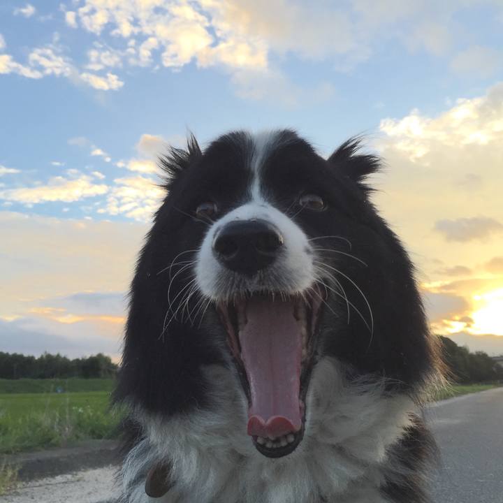 Edb26682 3c01 4b88 b4d2 47e9e0c299ae 1532984003045