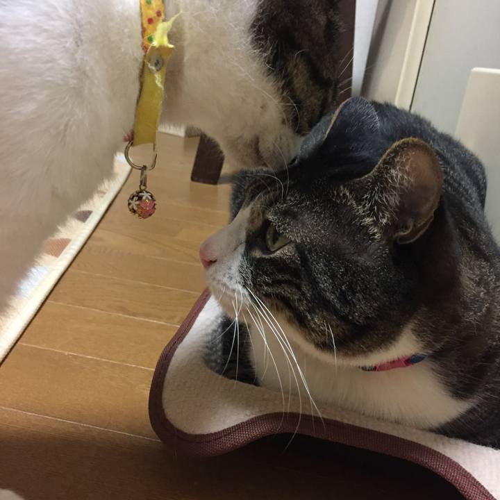 Edb29935 f52f 46fd 824d a7fcb7a58f62 1516194857879