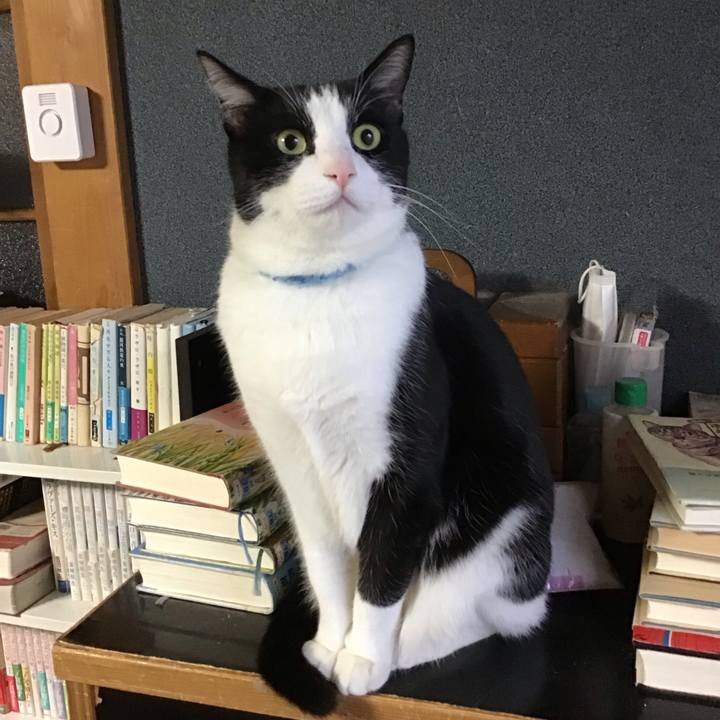 Edb2a982 edd6 45d9 abae 5fb75454a156 1734563228885