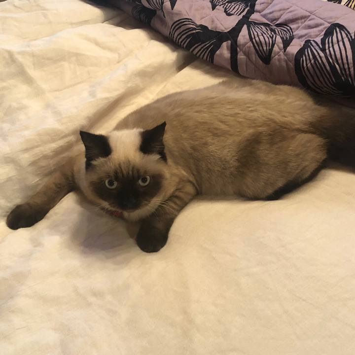 Edb2e787 cedb 400f b686 b186ec88aaa0 1595031537758