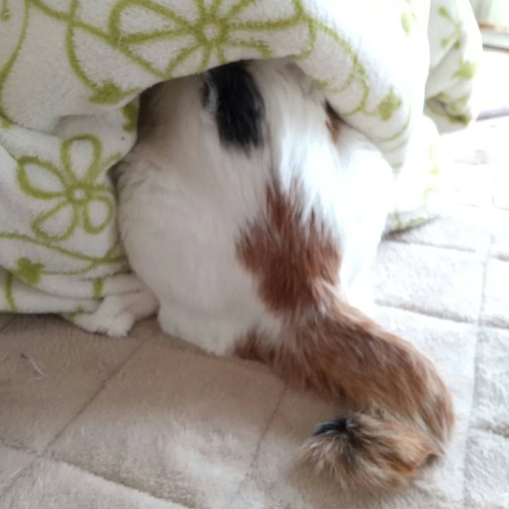 Edb2ec2f dbd3 477c 98e1 83832c670998 1708925118875