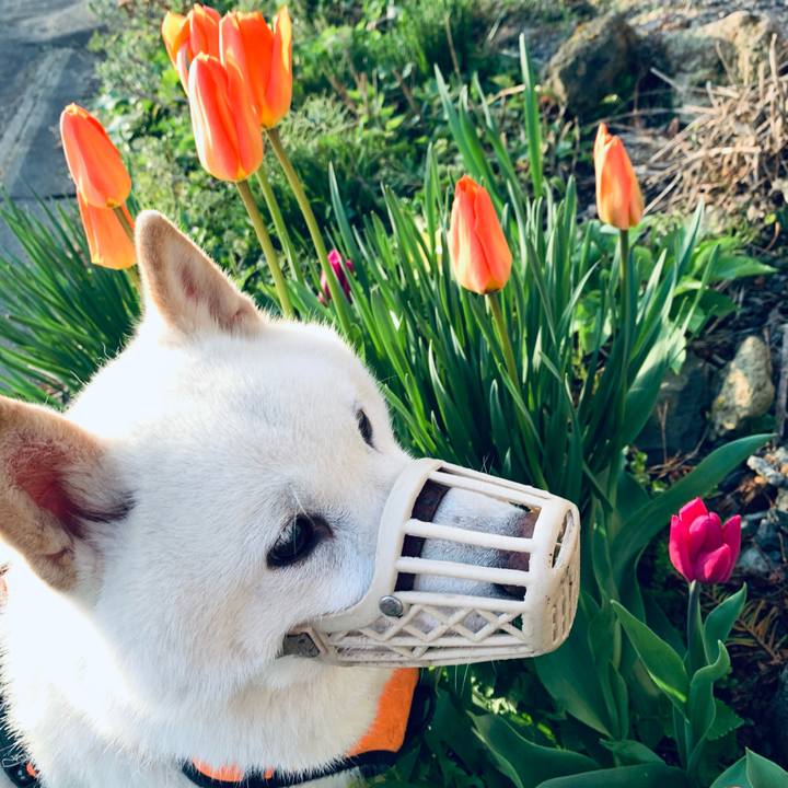 Edb30f74 86d3 4d16 baa3 4668c33da124 1620940372807