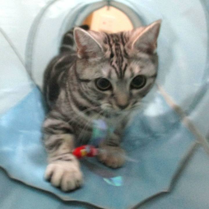 Edb321fd 20c1 4890 9e0a 67098bc38c44 1546342174212